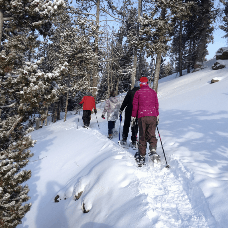 Snowshoeing: Observation Point
