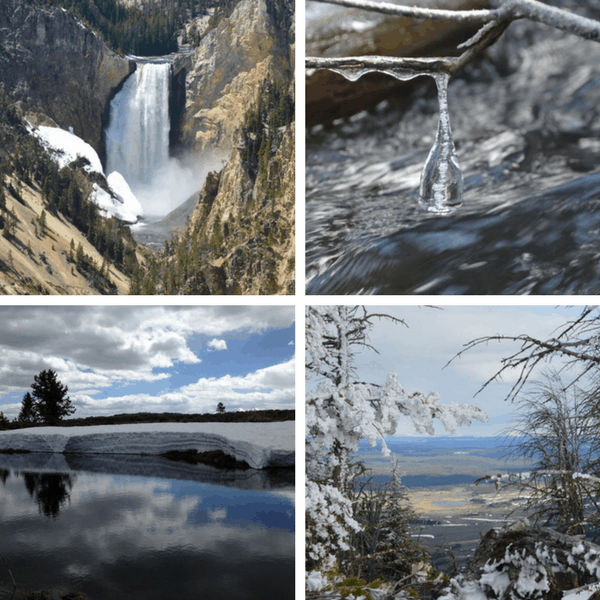 Yellowstone in Spring: Snow