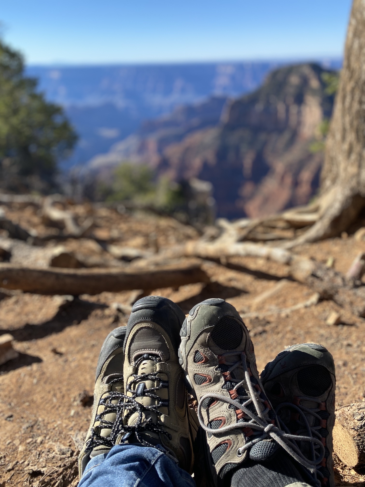 Shoes overlooking the grand canyon jpeg
