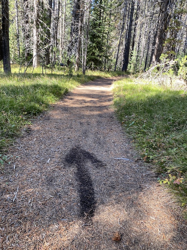 Arrow On DeLacy Creek Trail