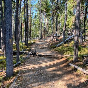 Walking in the wilderness helps us navigate everyday life by faith.