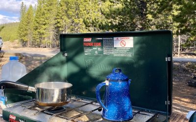 Picnicking in Yellowstone: What You Need to Know