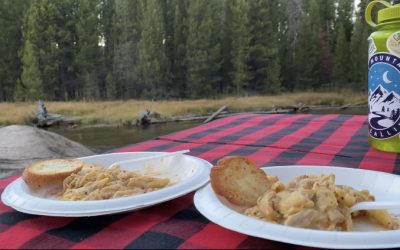 Where to Picnic in Yellowstone: Our 5 Favorites