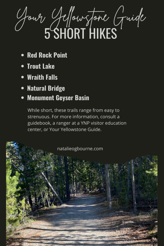 5 Short Hike's from Your Yellowstone Guide
