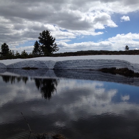 Spring in Yellowstone