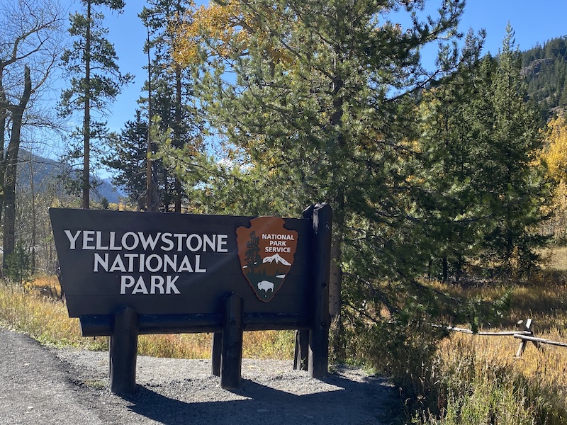 One Surprising Reason to Visit Yellowstone