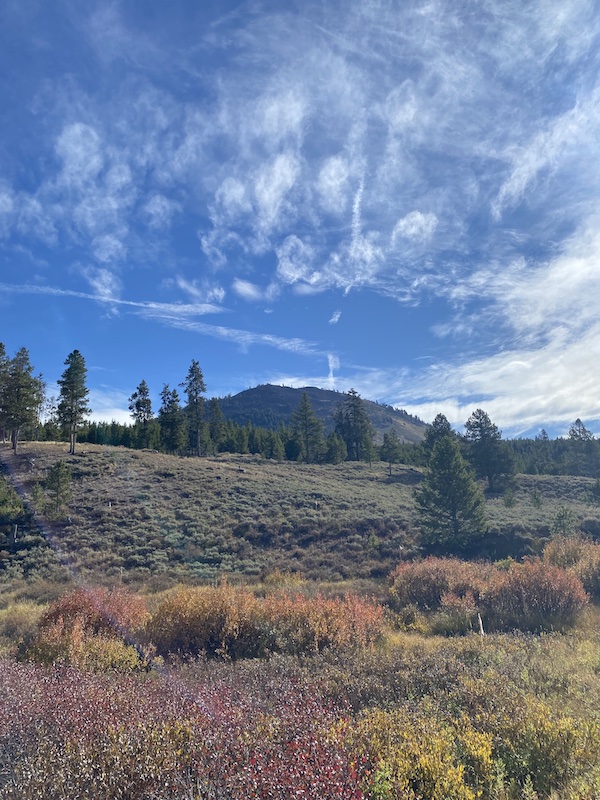 Wilderness: Bunsen Peak Yellowstone National Park