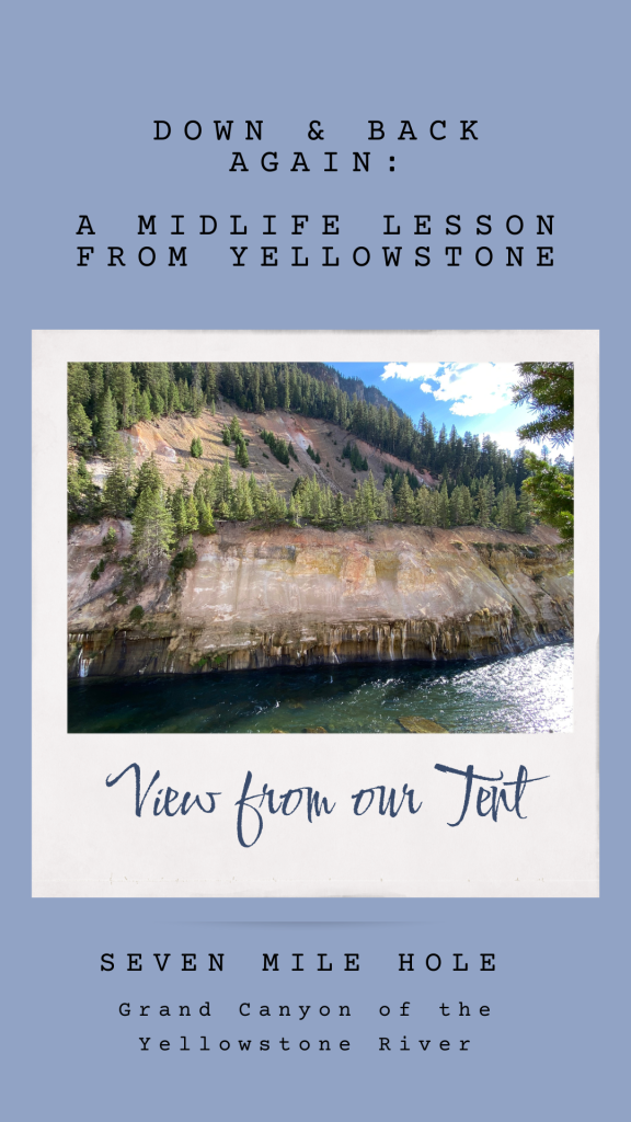 Pin this: Read Down and Back Again: A Midlife Lesson from Yellowstone