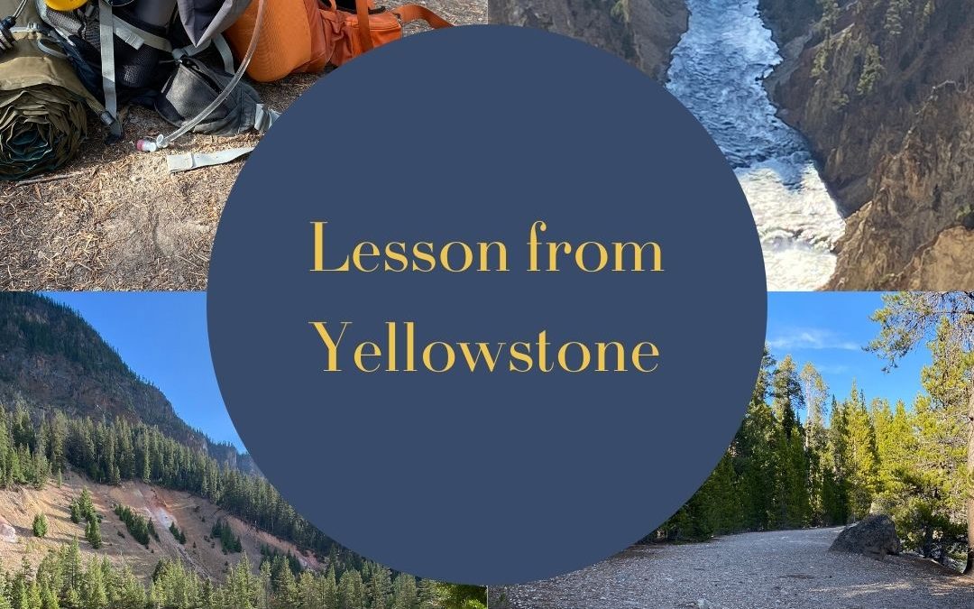 Lessons from Yellowstone: Seven Mile Hole in Midlife