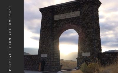 Postcard from Yellowstone: Roosevelt Arch