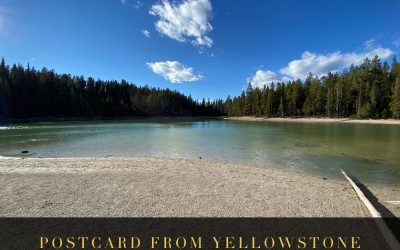 Postcard from Yellowstone | Clear Lake
