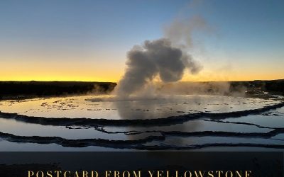 Postcard from Yellowstone: Great Fountain Geyser