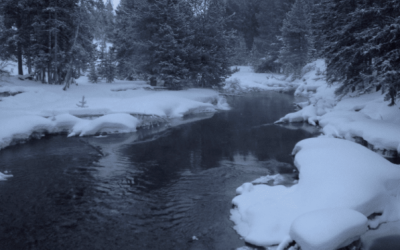 Notable & Noteworhty: Winter